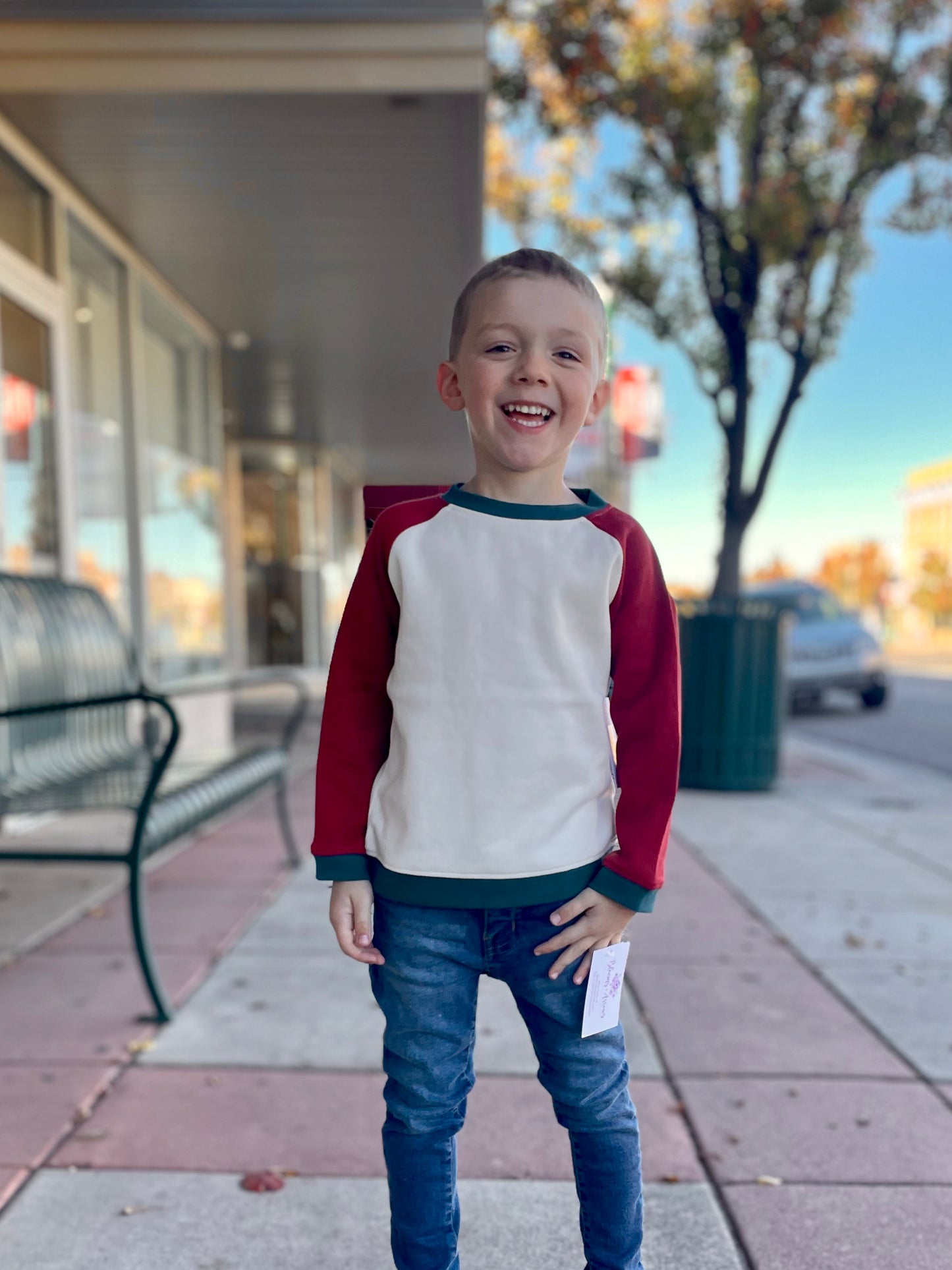 Boys Rosewood Color Block Sweatshirt